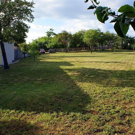 Vila House Vezo Raša Exteriér fotografie
